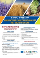BANDO PUBBLICO AGRICOLTURA E MULTIFUNZIONALITA' - MOTTA MONTECORVINO